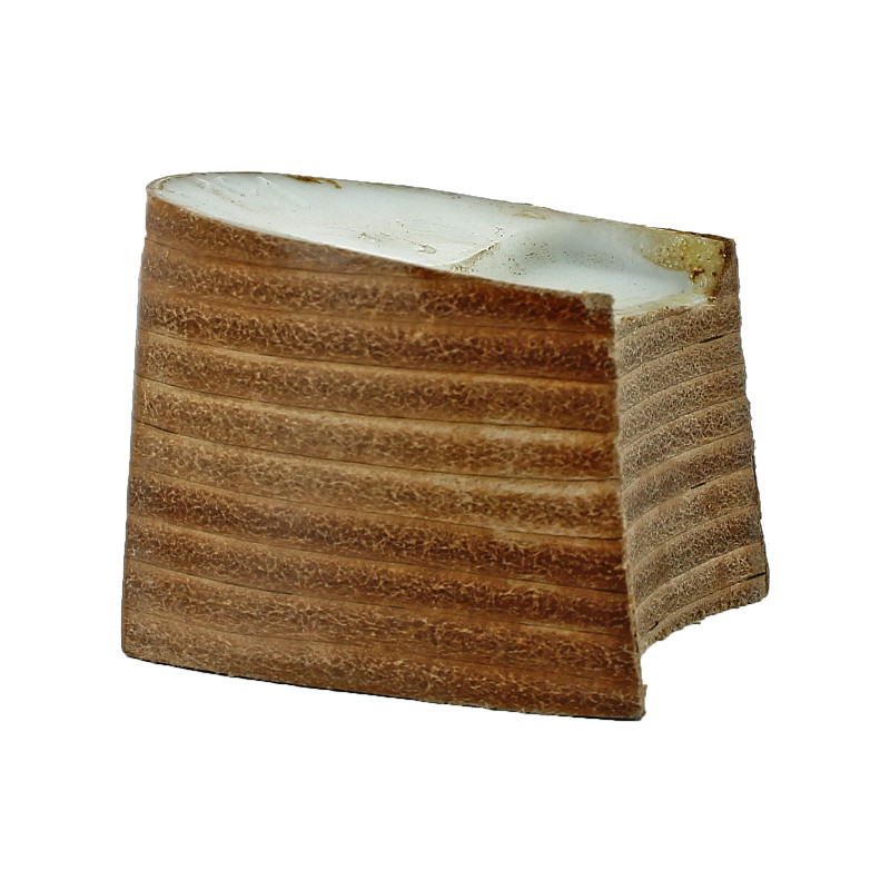 20TPC40191.jpg