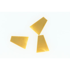 23TPU_23TPUBE.jpg