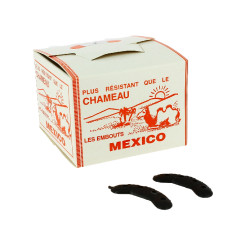 26MEX.jpg