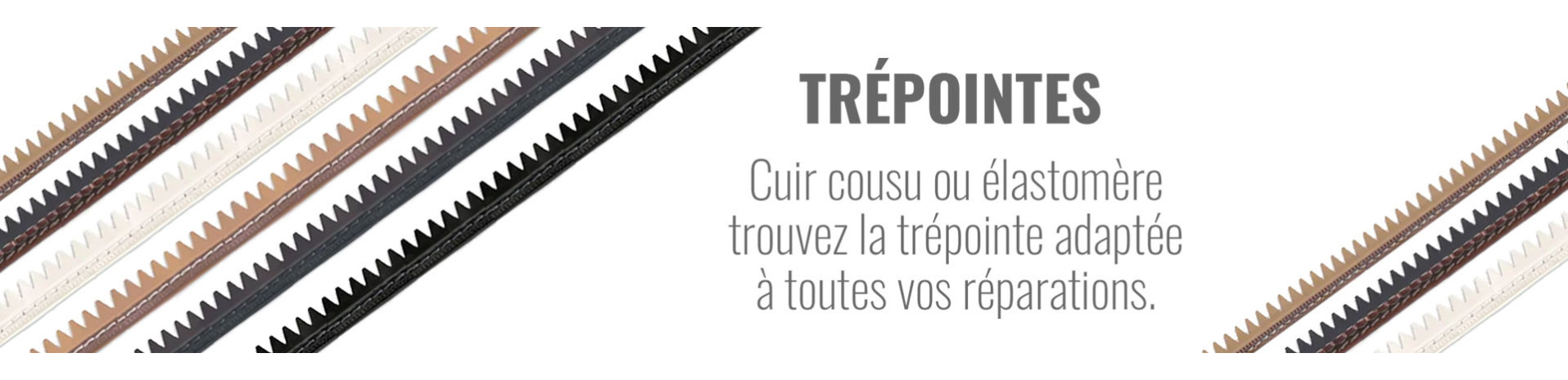 TREPOINTES